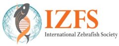 izfs