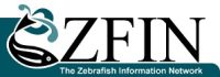 zfin